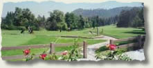 Griffith Golf